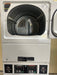 "ALLIANCE LAUNDRY SYSTEM" DOUBLE STACKED GAS DRYER - Bargains R Ours - #collection_name#